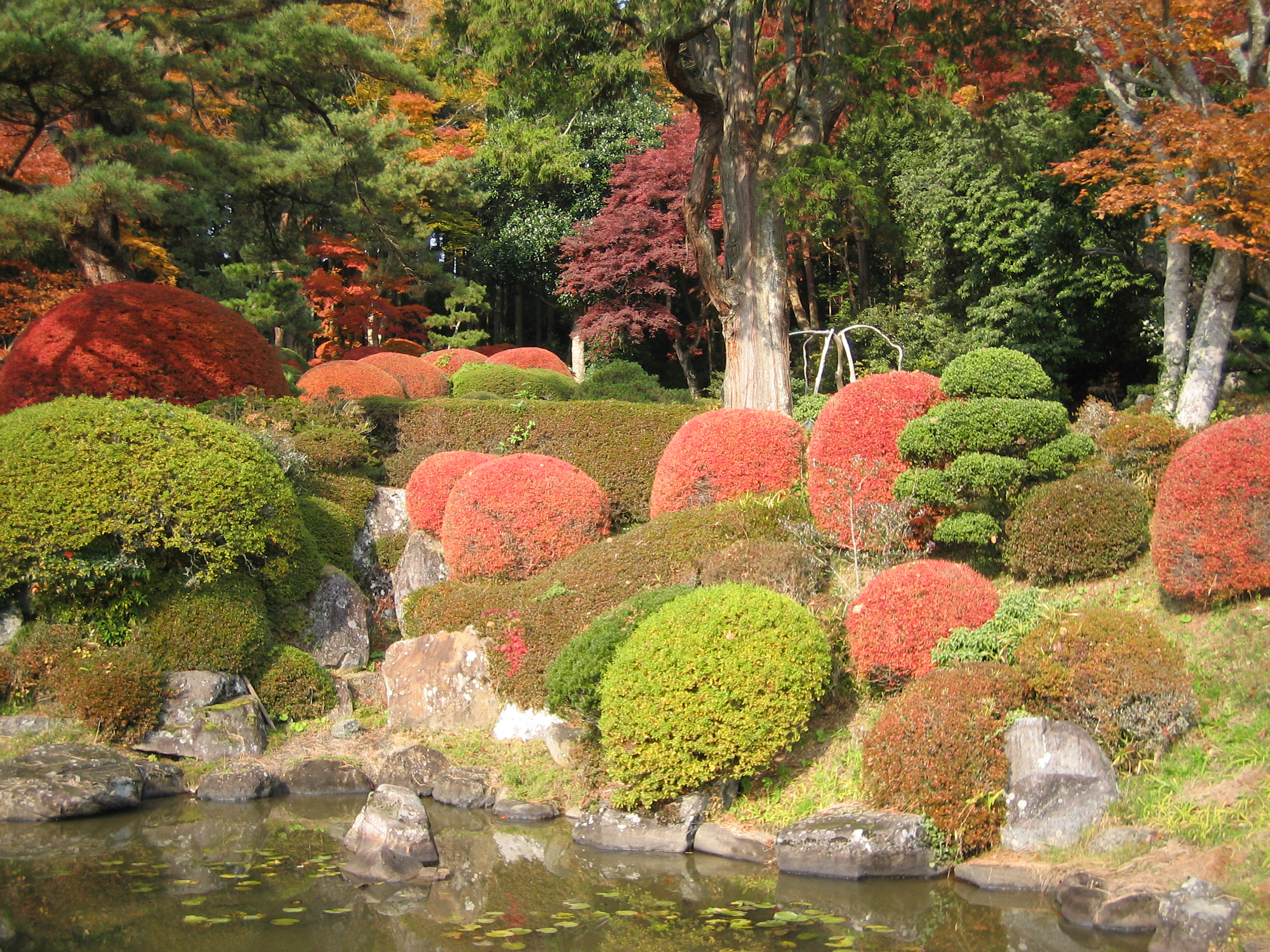 煙雲館紅葉２　気仙沼