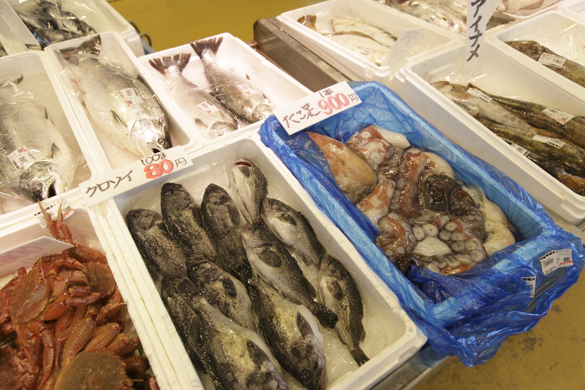 お魚市場_鮮魚