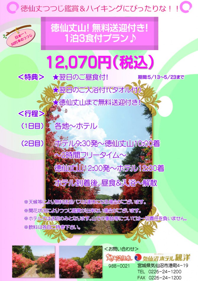 徳仙丈つつじ_行程