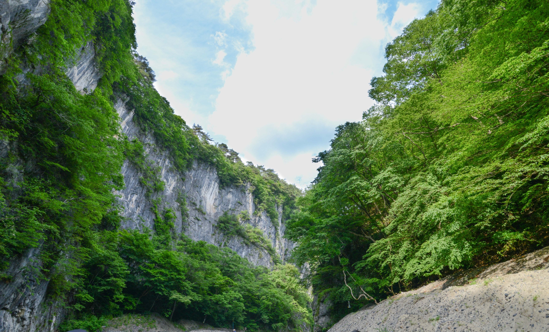 20150530編集後-20150530編集後-DSC_0098